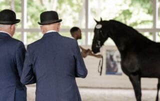 Keuring at Iron Spring Farm