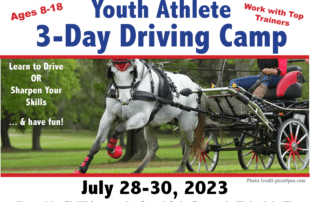 Youth Athlete Driving Camp