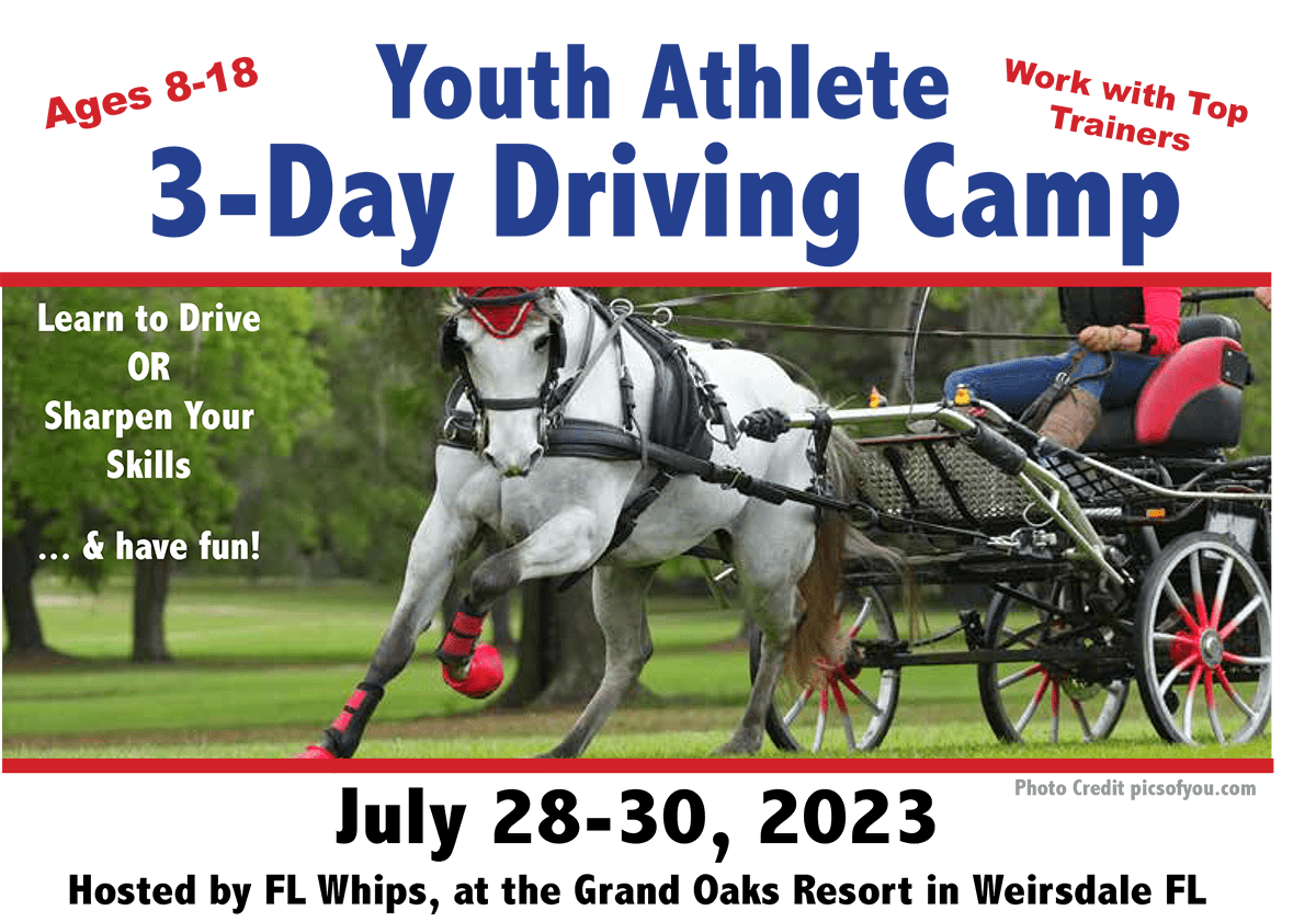 Youth Athlete Driving Camp