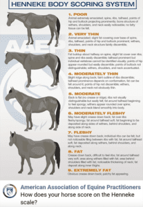 Henneke Body Scoring System for Horses
