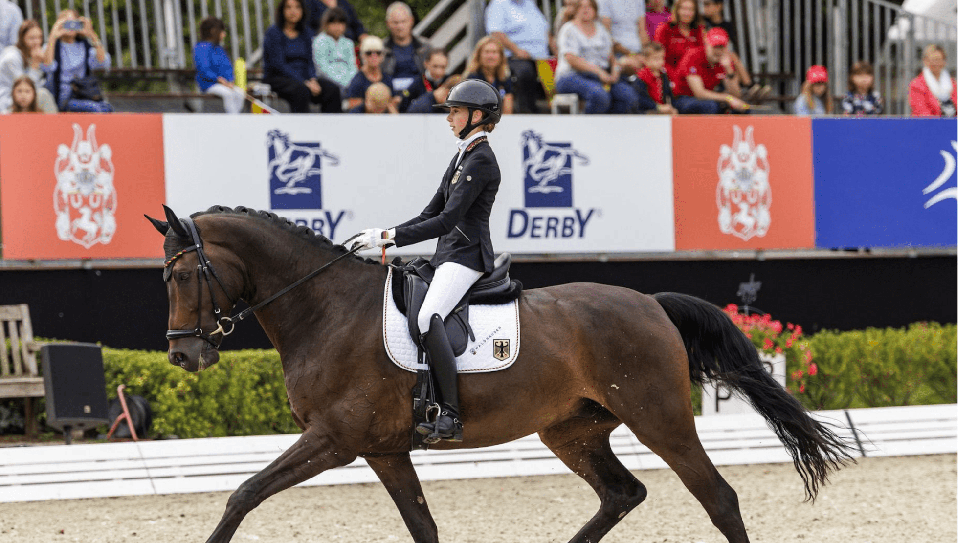 FEI Dressage European Championship for Juniors and Children