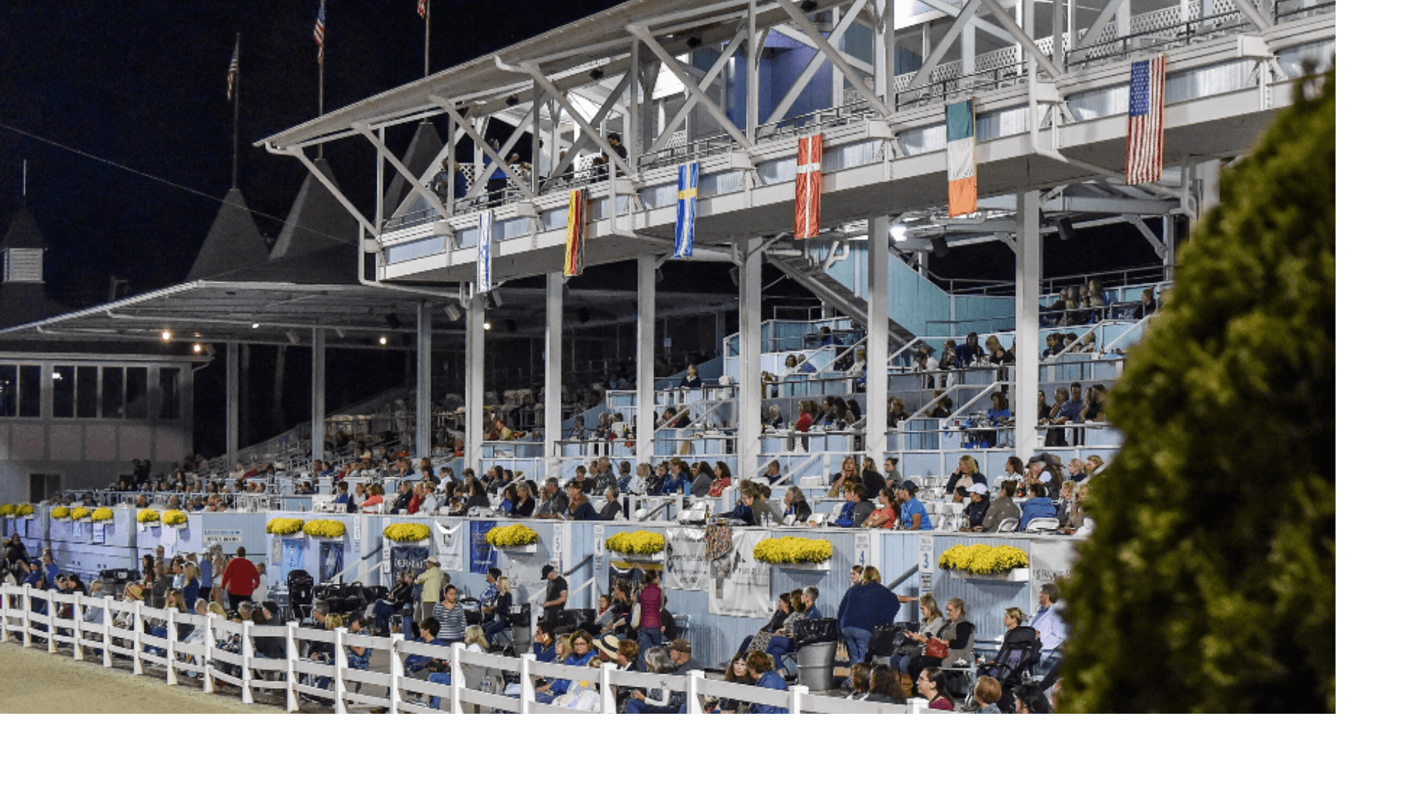 Dressage at Devon 2023