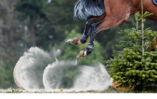 FEI Eventing Nations Cup Avenches