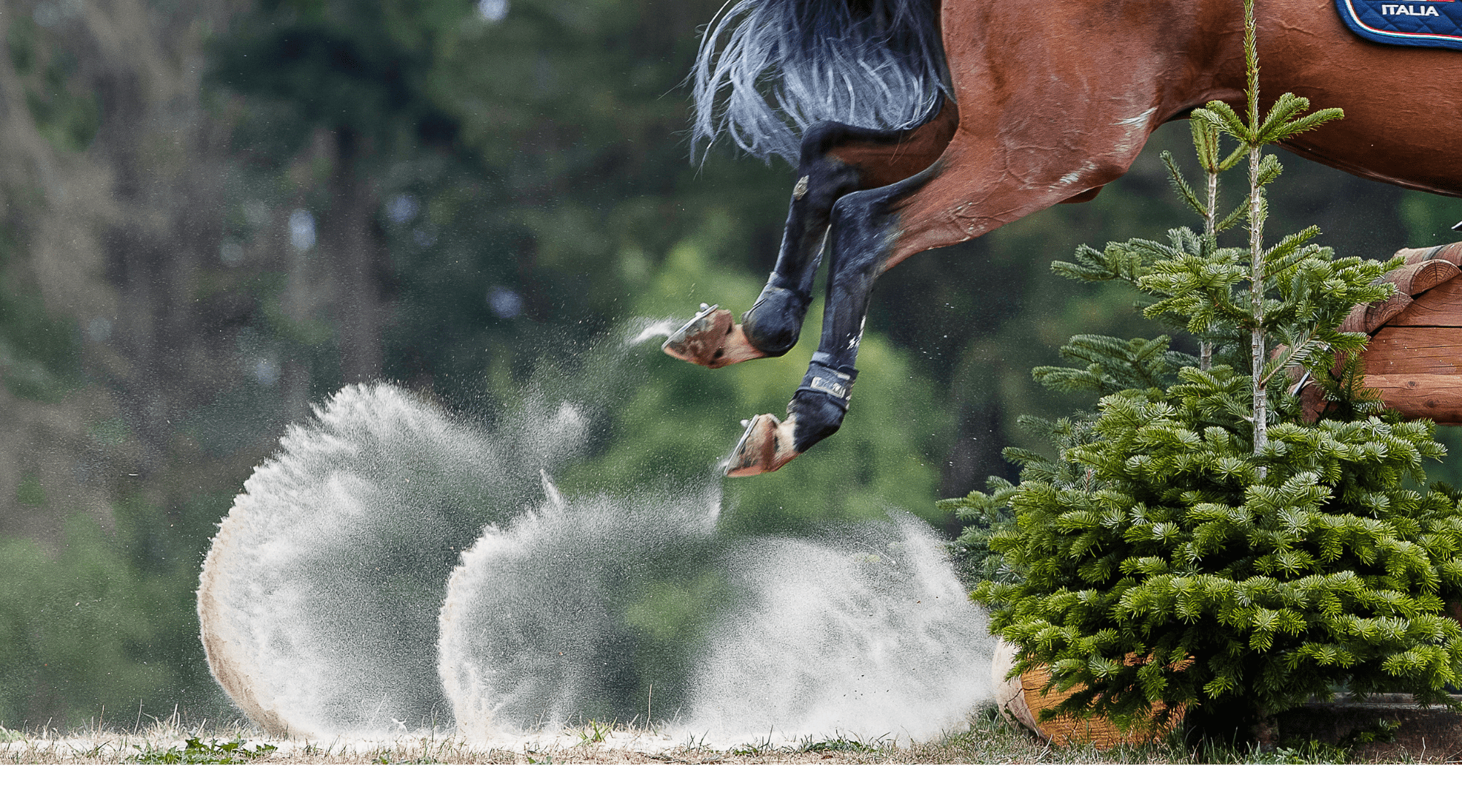 FEI Eventing Nations Cup Avenches