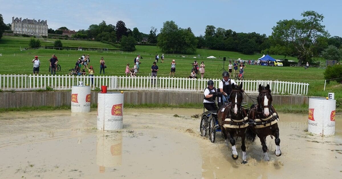 Marathon-Haras Du Pin-Photo- Capucine Bourgeois.
