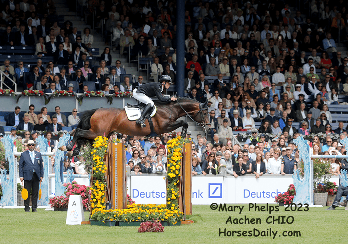 Marcus Ehning and Stargold