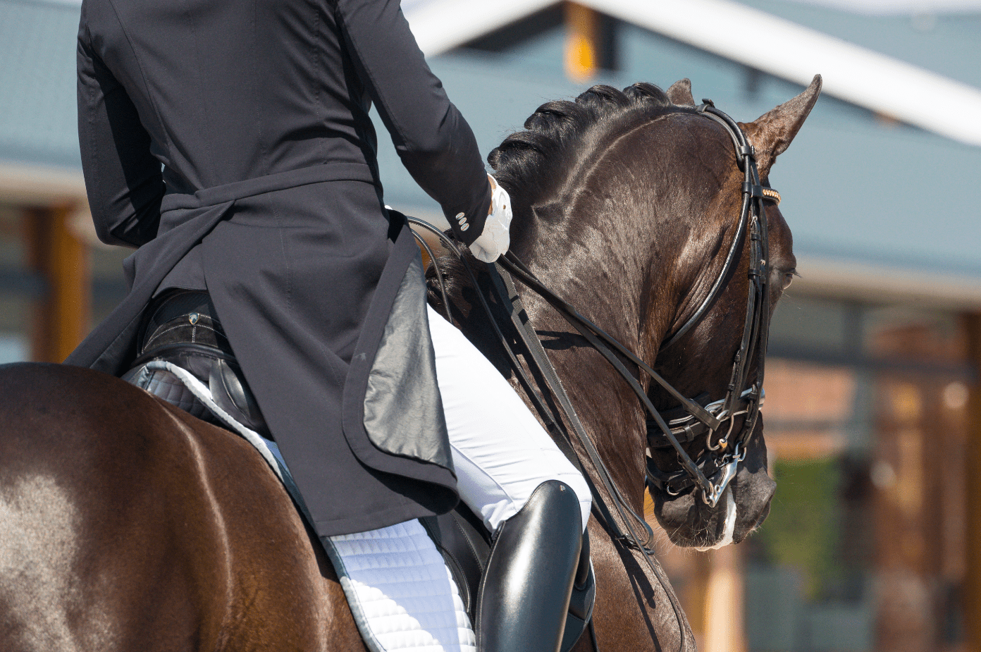 FEI Dressage Nations Cup™