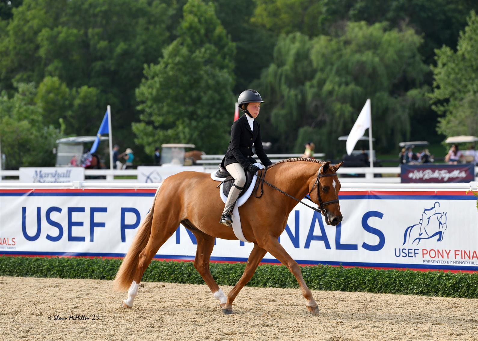 Bridget Harris and Brighton (Photo: Shawn McMillen Photography)