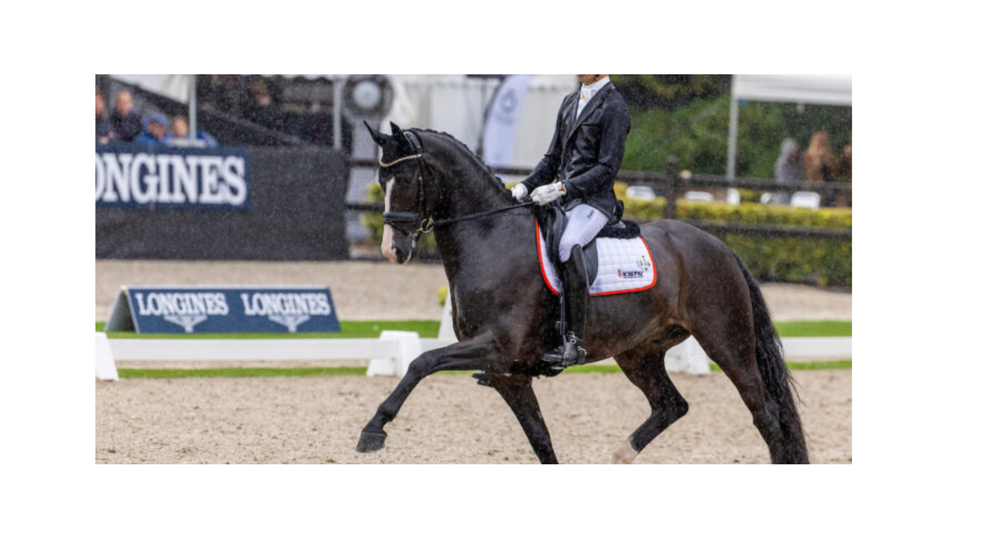 Hans Peter Minderhoud and My Toto
