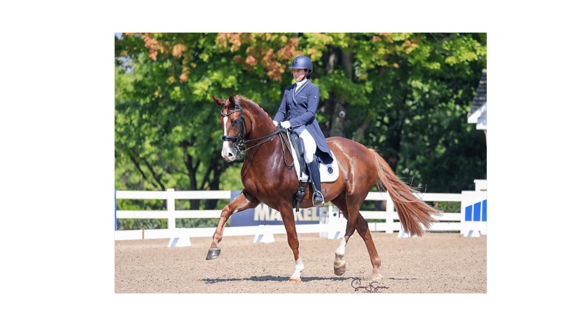 Ali Potasky and Lord Hennessy. Photo Credit: S. Stickle