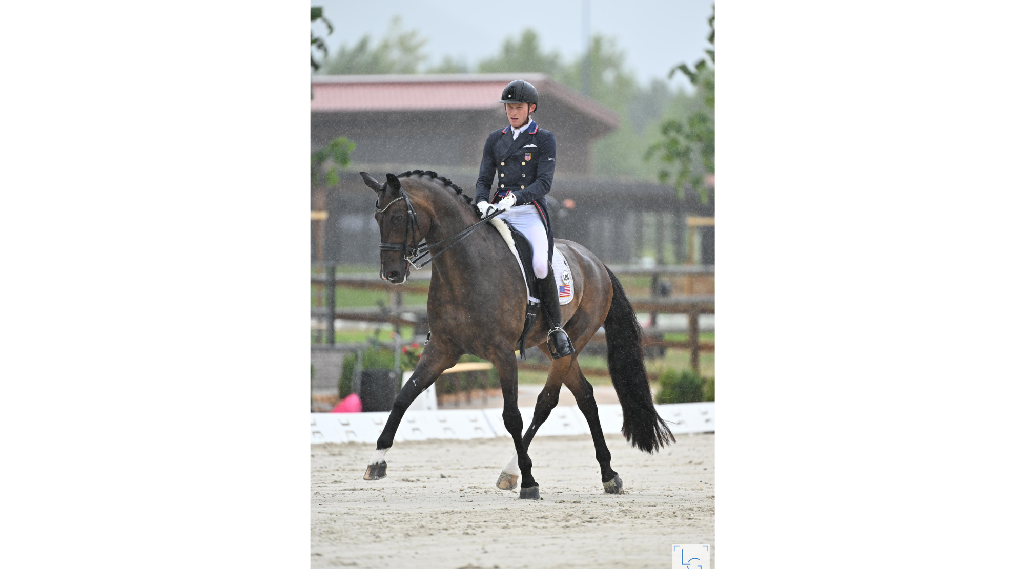 Benjamin Ebeling and Status Royal
