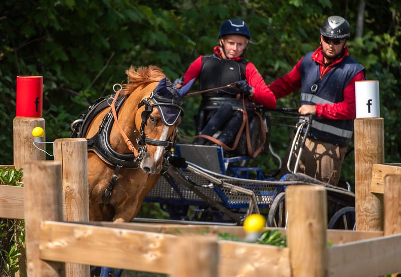 Patricia Großerichter (GER) with Gentle-Man (© FEI/Martin Dokoupil)