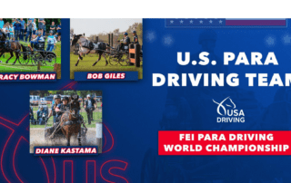 FEI Para Driving World Championship