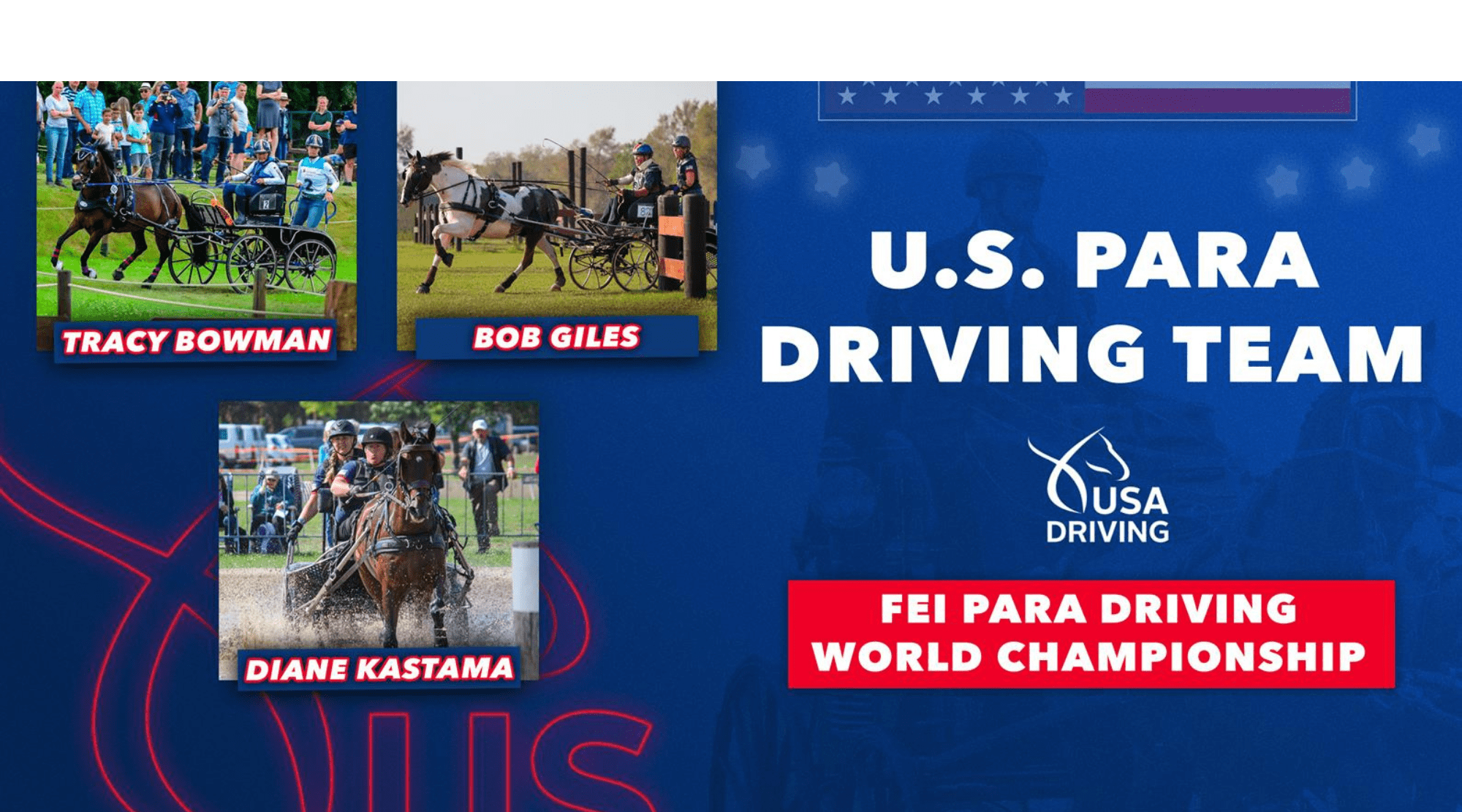 FEI Para Driving World Championship