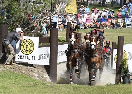 Team Weber in the marathon in Ocala
