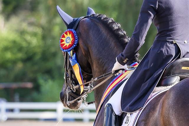 US Dressage Festival of Champions