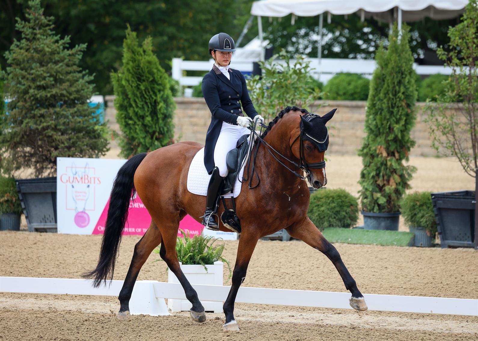 Miki Yang and Grey C Carrus. (©Leslie Potter/US Equestrian)