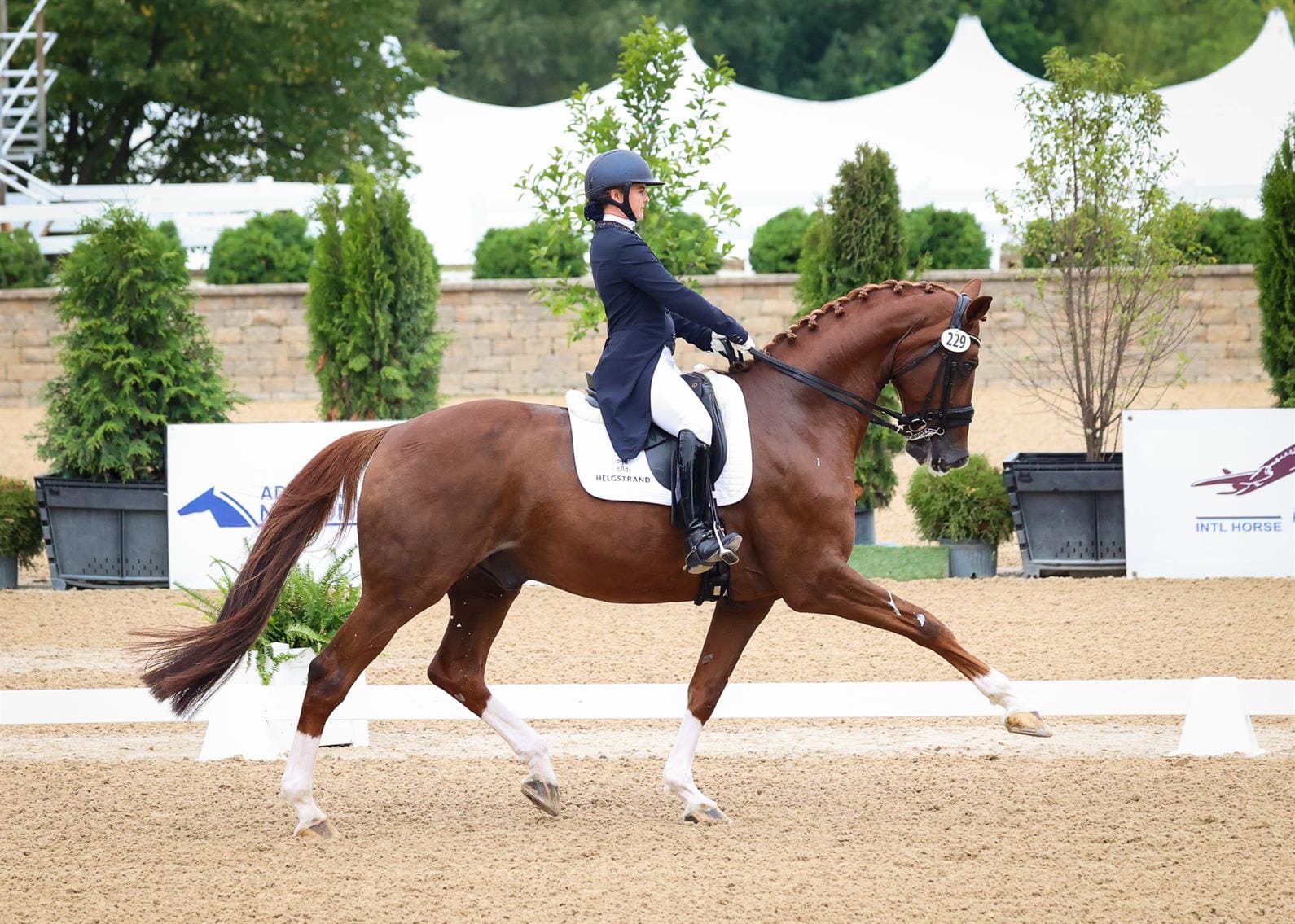 Codi Harrison and Katholt's Bossco. (Photo: ©Leslie Potter/US Equestrian)