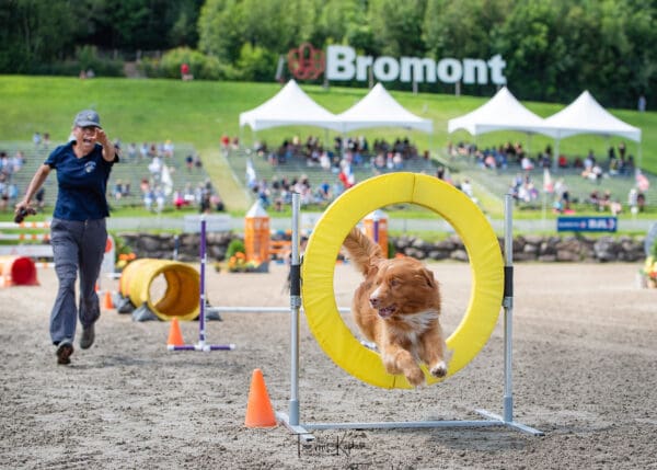The fun Canine Equine Challenge took place Sunday before the Grand Prix, and will again on August 6 at approximately noon (subject to change.) © Tom von Kapherr Photography