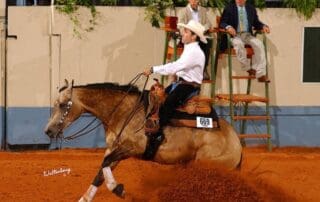 Best Stop-Marc Wagman-NRHA-Million Dollar Dam-2023