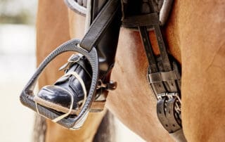 FEI Para Dressage European Championship 2023 - Riesenbeck