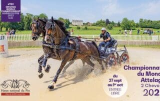 Haras du Pin