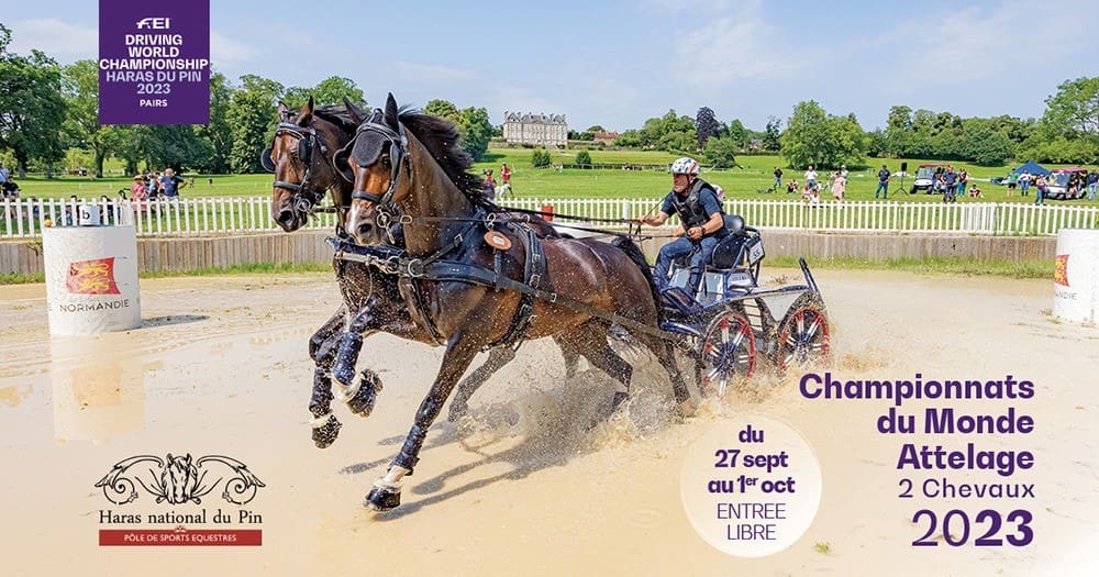Haras du Pin