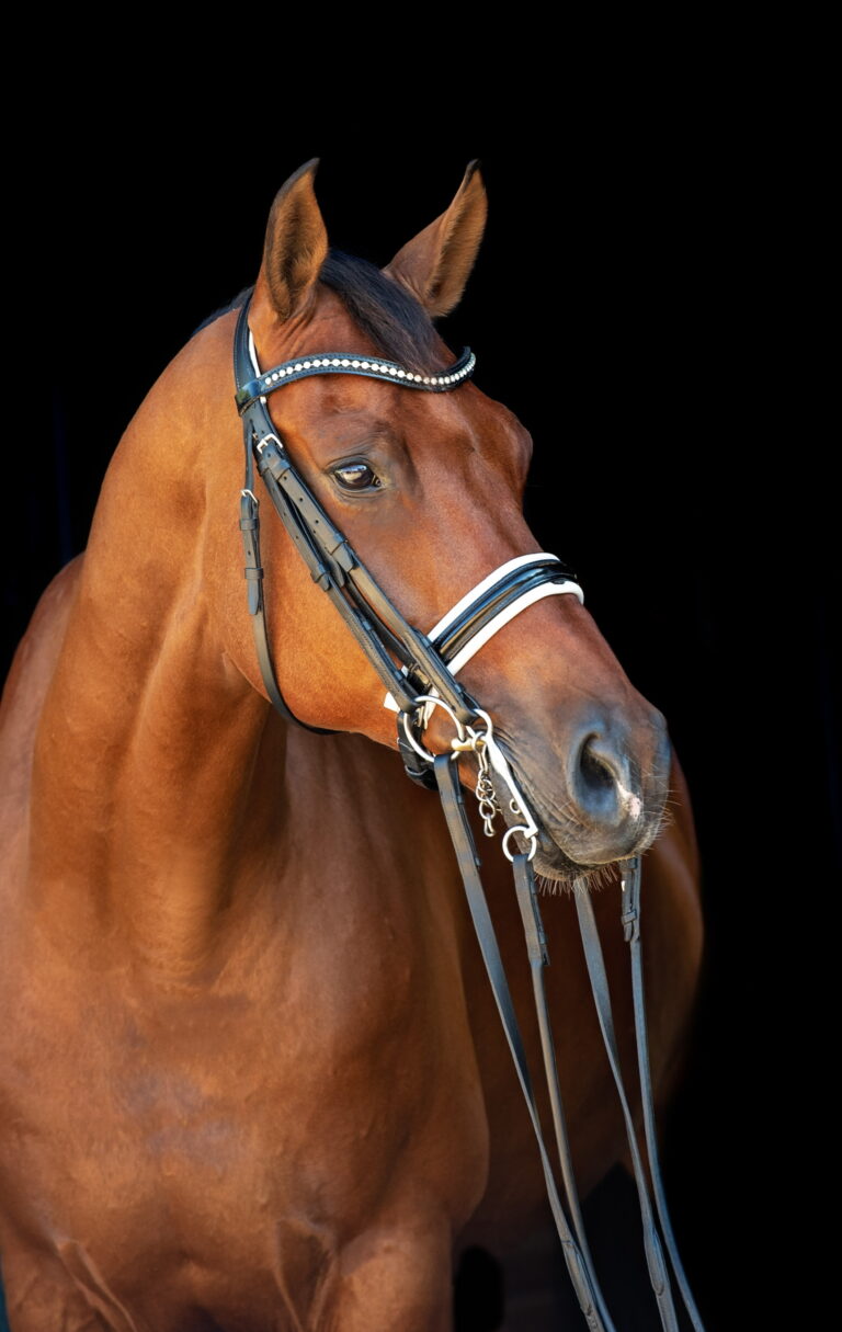 I AM HERE 1 768x1215