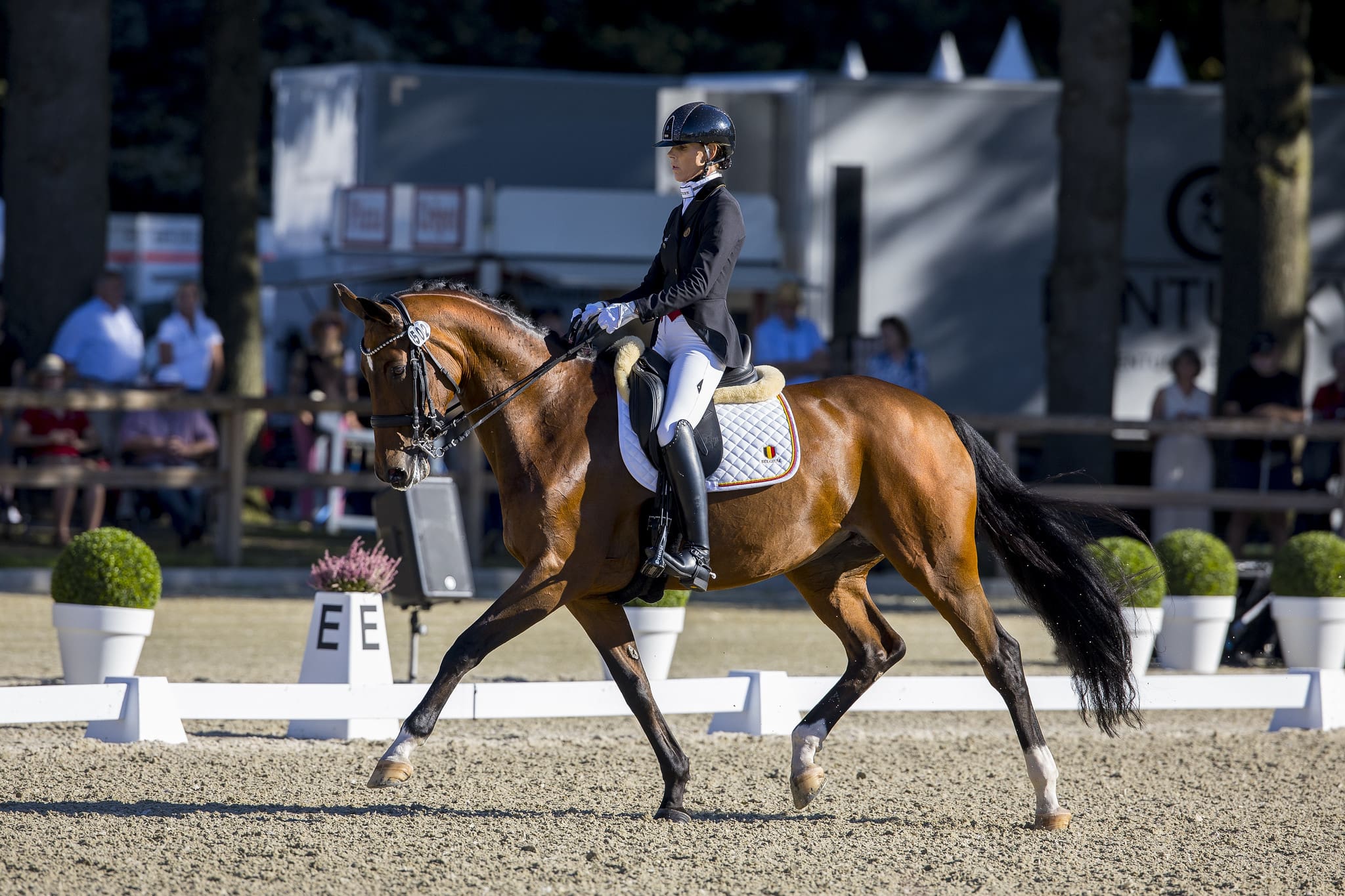 Michele George (BEL) riding Best of 8 (Photo: © FEI/Leanjo de Koster)