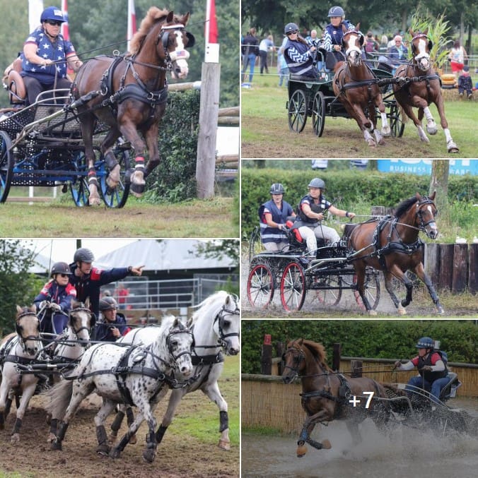 FEI Driving World Championship for Combined Ponies - Oirschot 2023