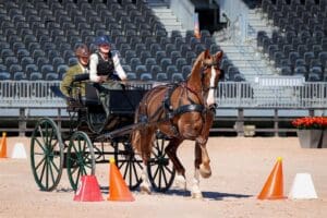 Ryley Miller and Sunrise's Commander
