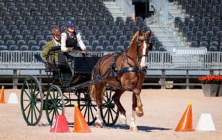 Ryley Miller and Sunrise's Commander