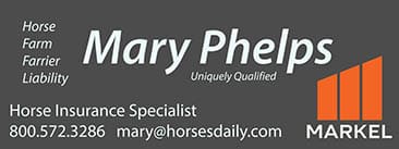 Mary Phelps Markel Insurance
