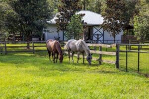 67. Front Pasture
