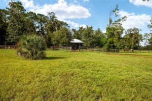68. Front Pasture