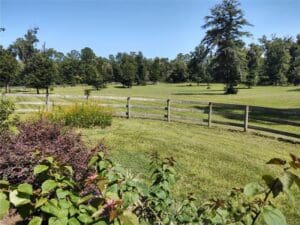 74. Front Pasture