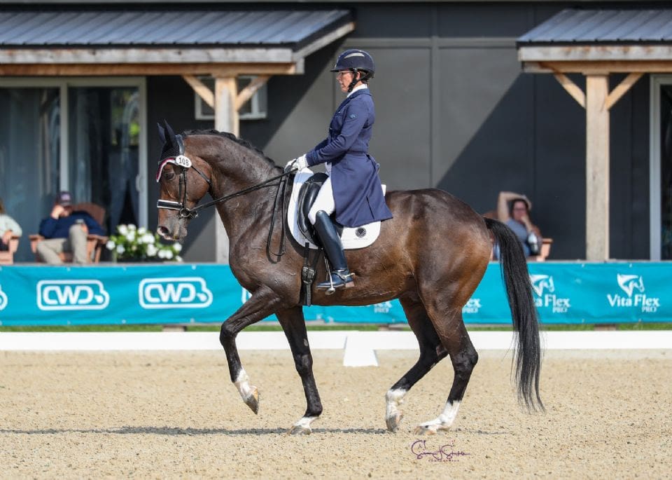 Heather Mason and the 18-year-old RTF Lincoln will return again to the US Dressage Finals presented by Adequan® to contest their Grand Prix titles from 2022. Photo by SusanJStickle.com