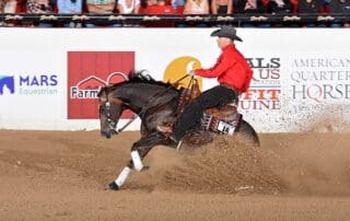 Jason Vanlandingham and Best Shine