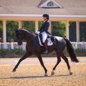 Franzsis HSR (Franziskus x Sandro Hit),