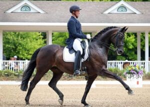 Ronin to 70.074%. The Blue Hors Romanov x Sir Donnerhall son, who was bred in the U.S. by Marcia Boeing