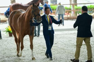Santiago Pan American Games