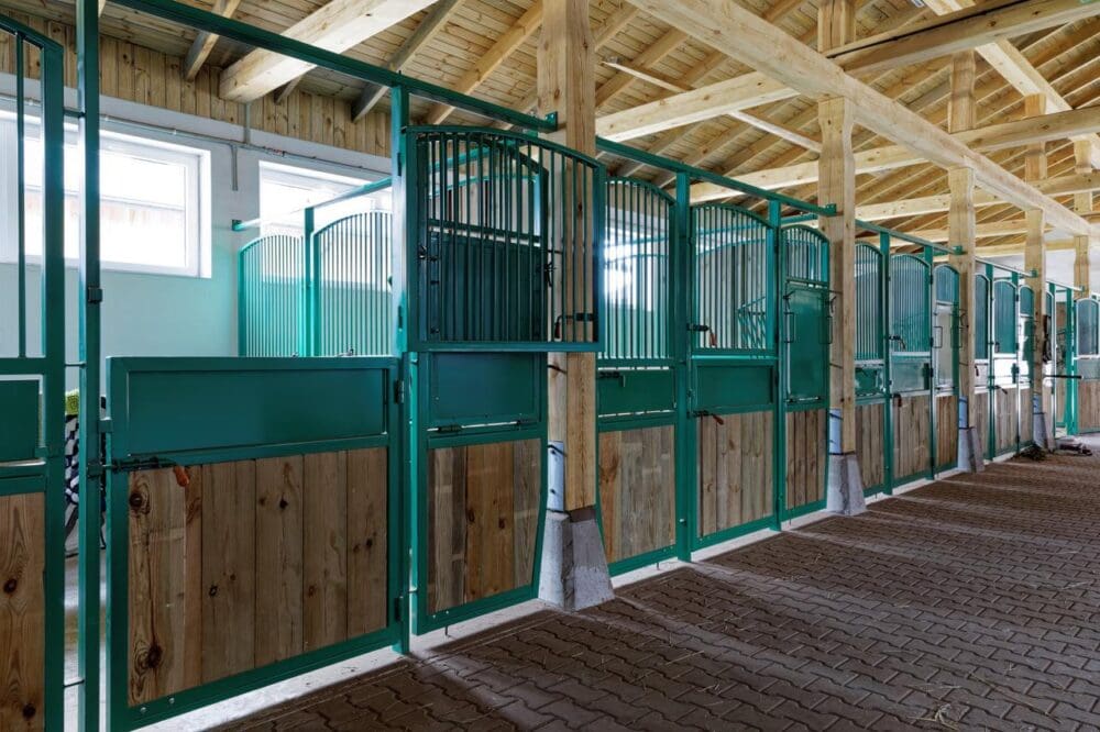 Photo: courtesy of US Equestrian