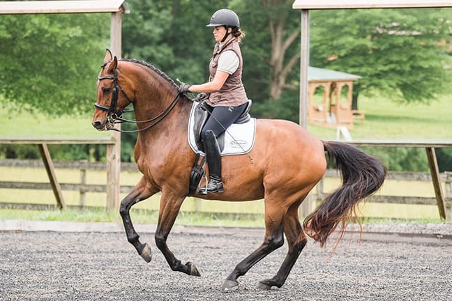 Training the canter piroutte