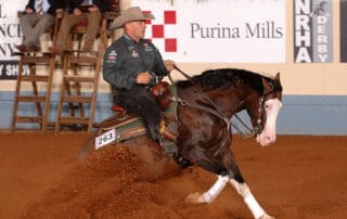 Spooks Gotta Whiz is a 2007 stallion by Spooks Gotta Gun and out of Prettywhizprettydoes.