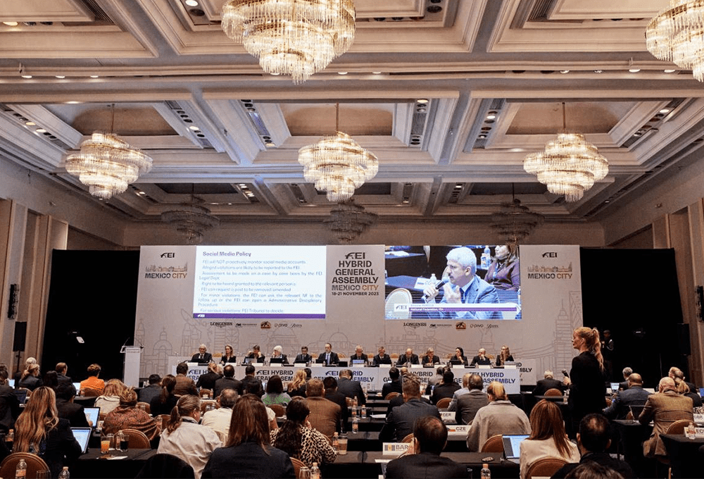 FEI Delegate Meeting 2023