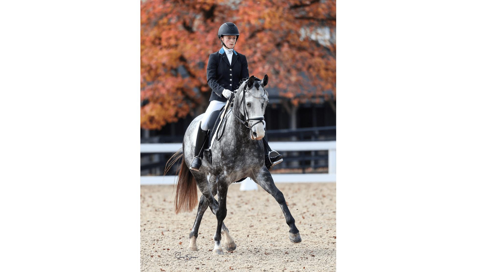 Jenna Butler and Da Vinci (Photo: Susan J Stickle)