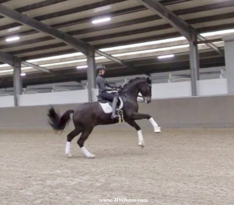 Quintano HW Changes HM23 Dec 768x672