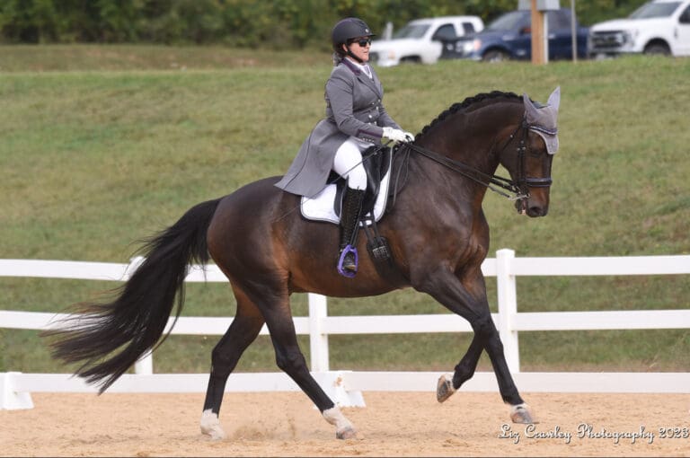 Sokrates Main Canter HM23 Dec 768x510