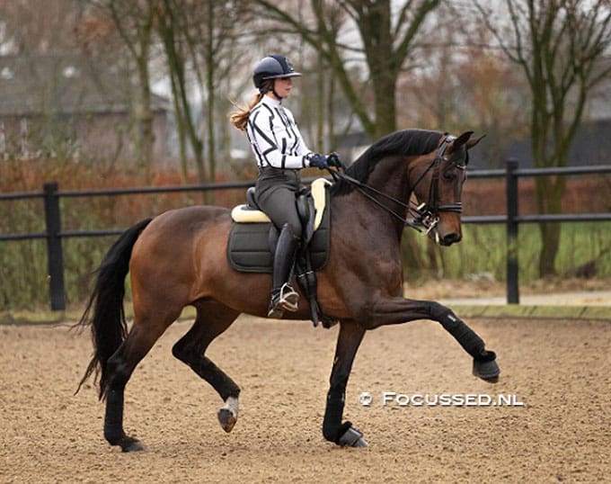 Milena Aubry and Lombard (Photo: © Anniek van Schaick / Focussed.nl)