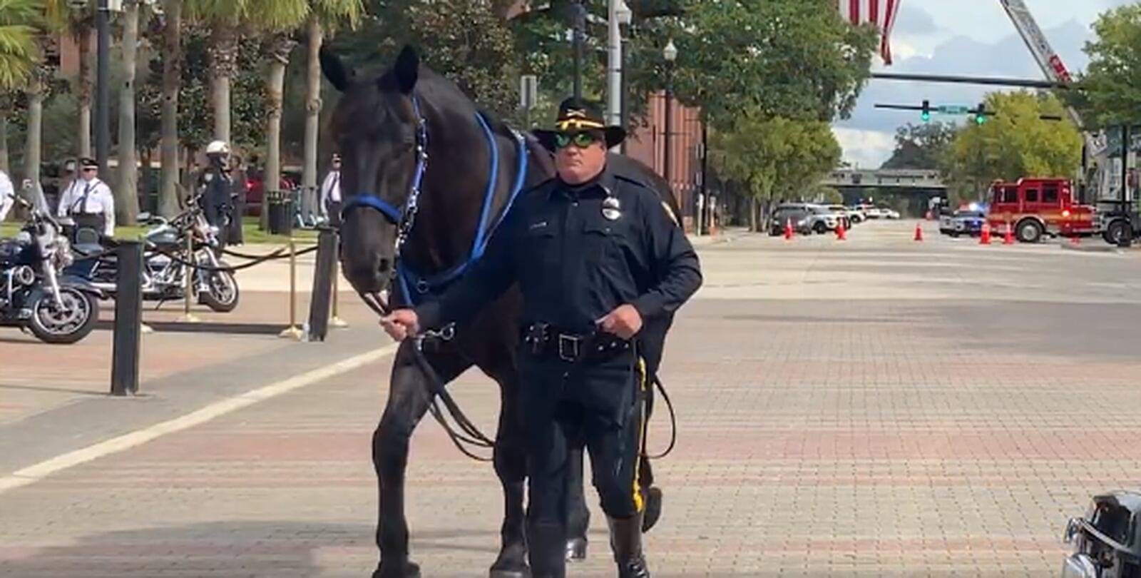 Cover - Midnight Reties from Jacksonville Sheriffs Office